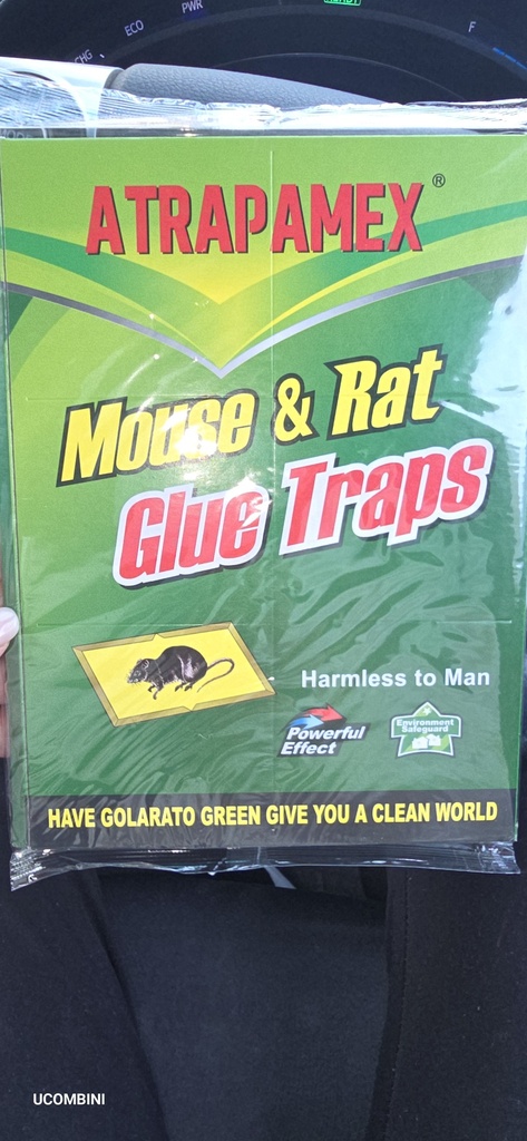 Хулганы наалддаг хор