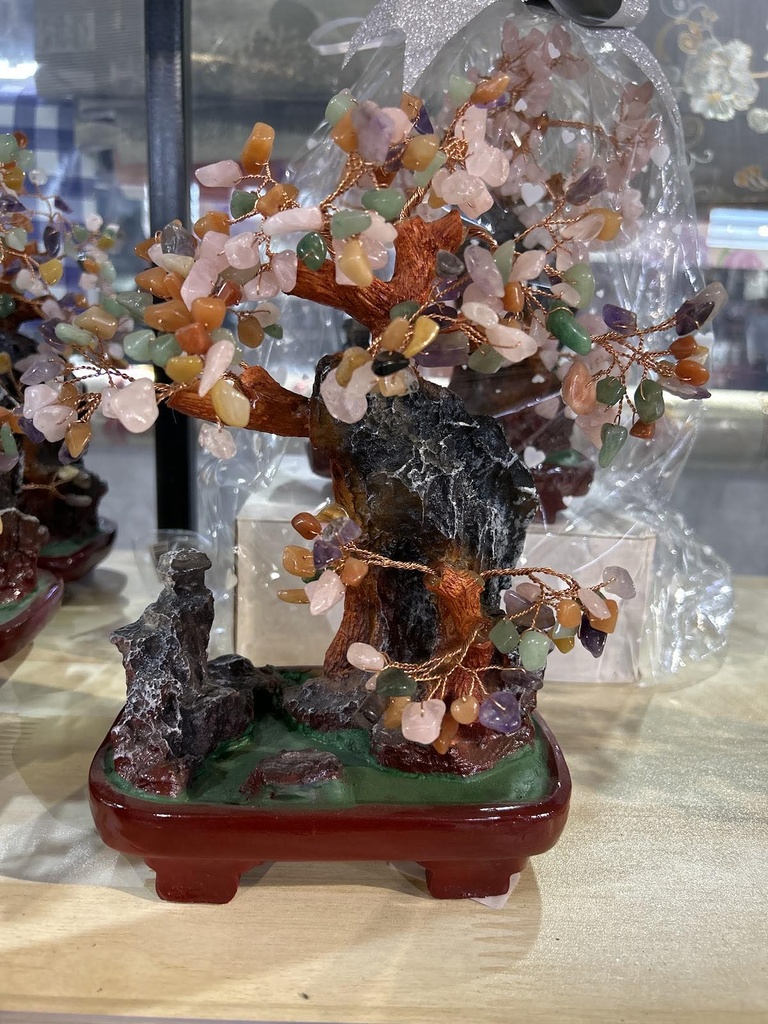 мөнгө мод том 807-10