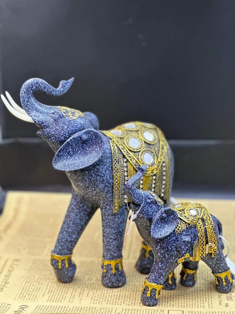 Заан шигтгээтэй хөх 2 хос М540