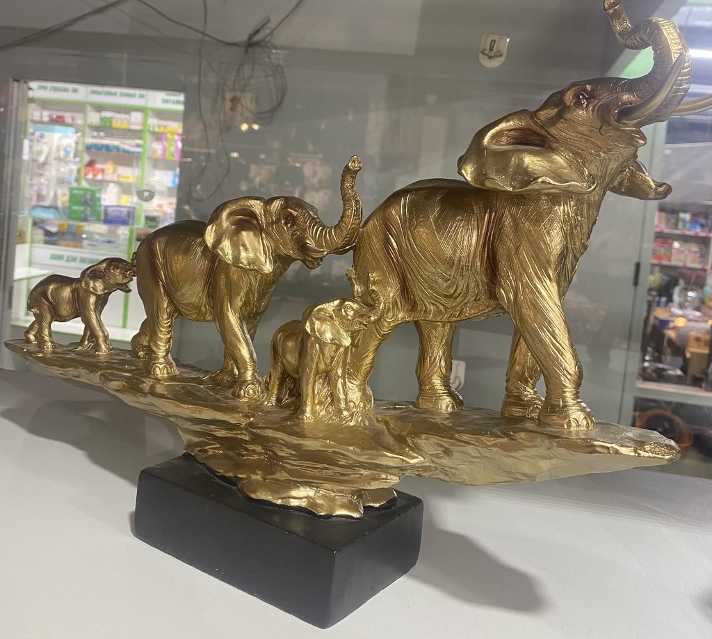 заан суурьтай цувраа 10110-48