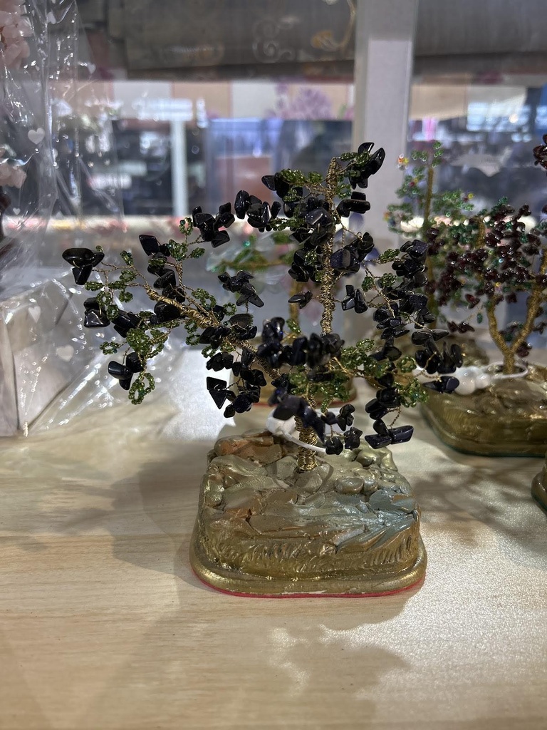 мөнгөний мод