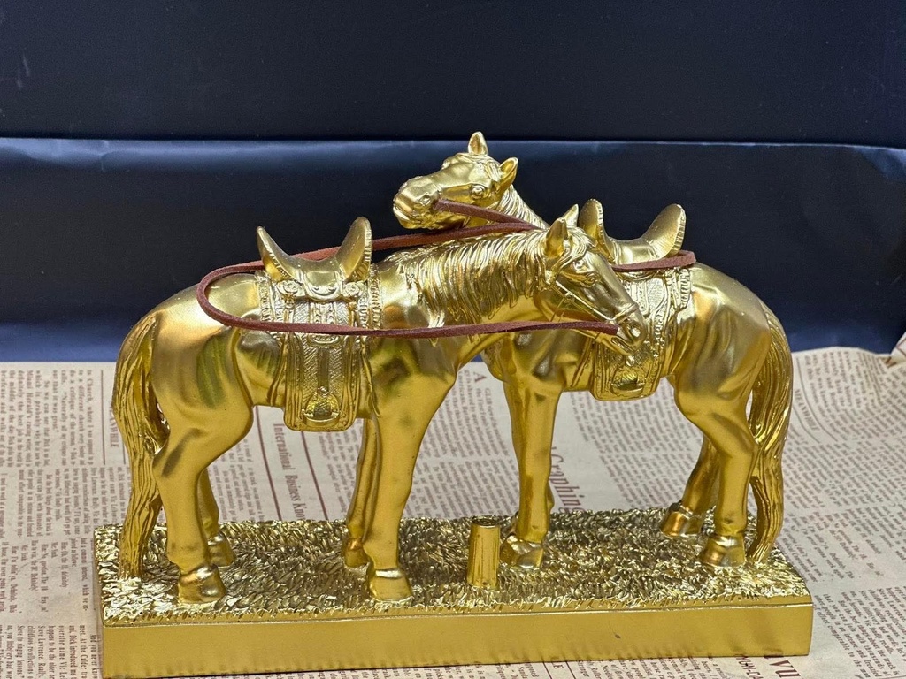 ZS128 ЗӨРСӨН ЭМЭЭЛТ МОРЬ