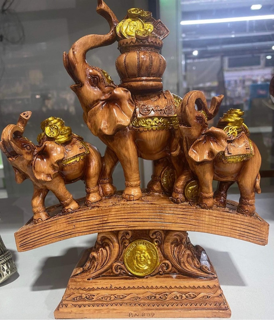 Заан доллар дээр зогссон BW809