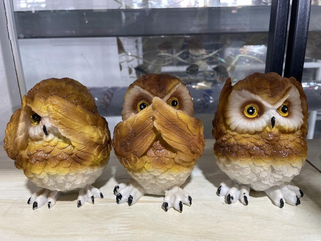 010 шар шувуу харахгүй, үзэхгүй