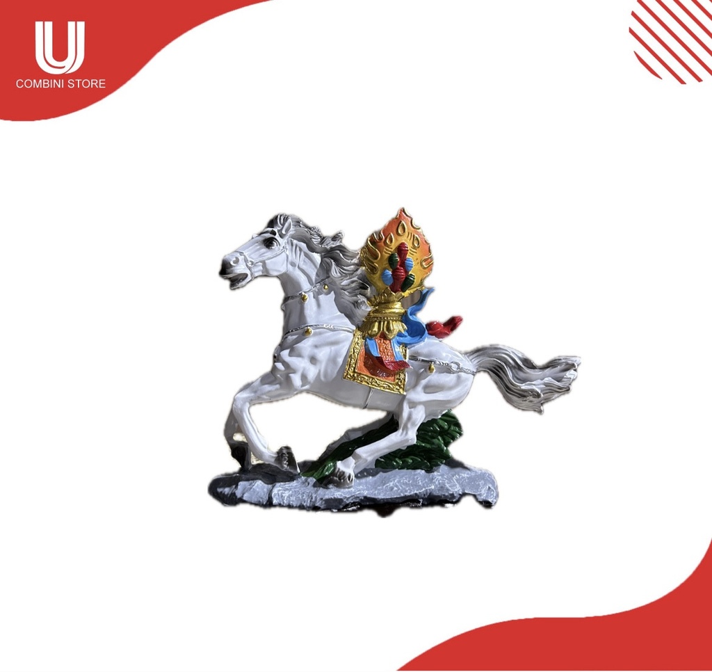 ZS194 хийморь морь