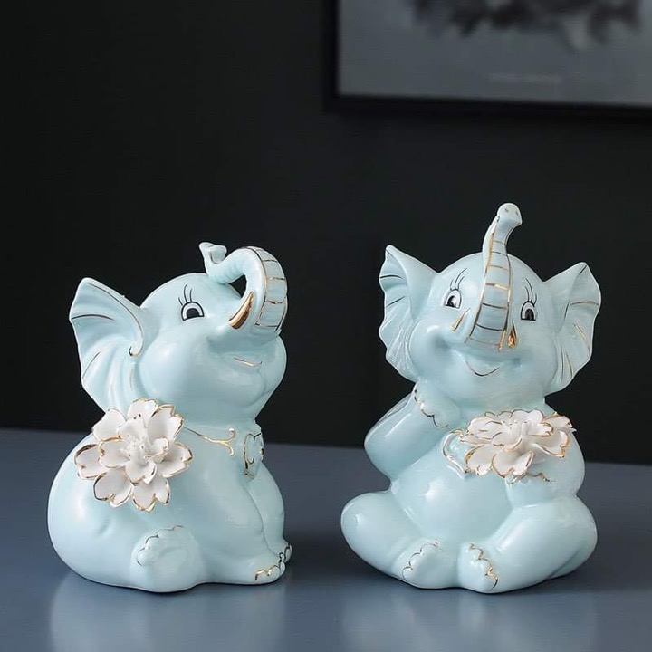 Заан 2 хос цагаан 14036, FB-14036