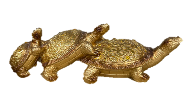 яст мэлхий цувраа Т 33334