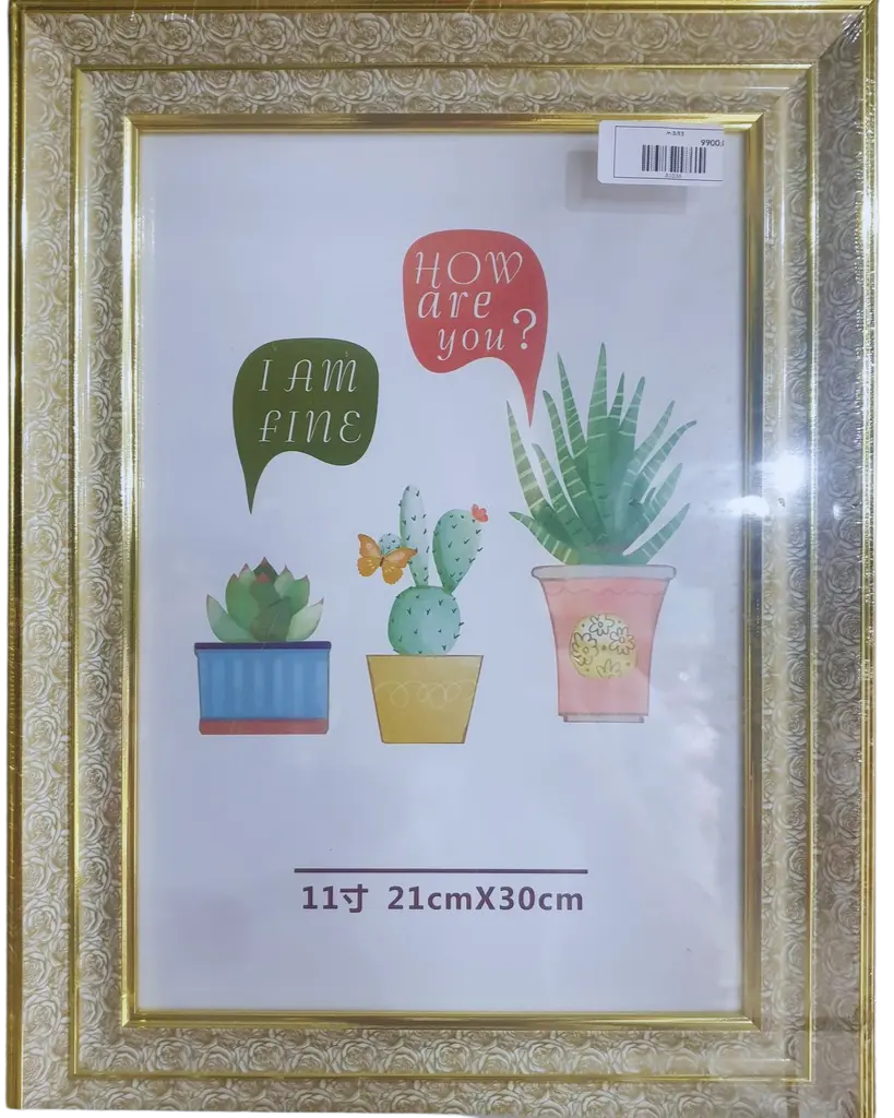 жааз 20*30 өргөн хүрээ