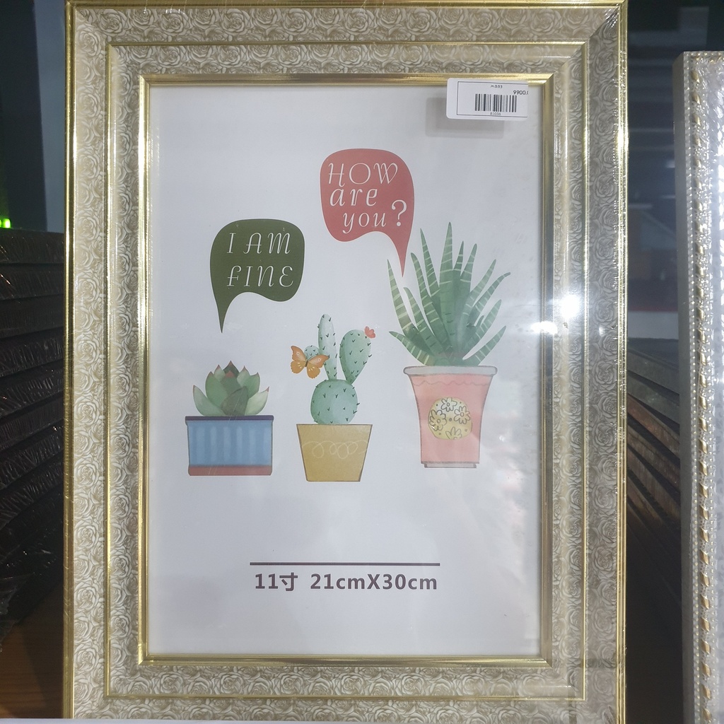 жааз 20*30 өргөн хүрээ