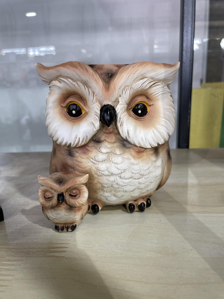 Хумс зурлагын бийр