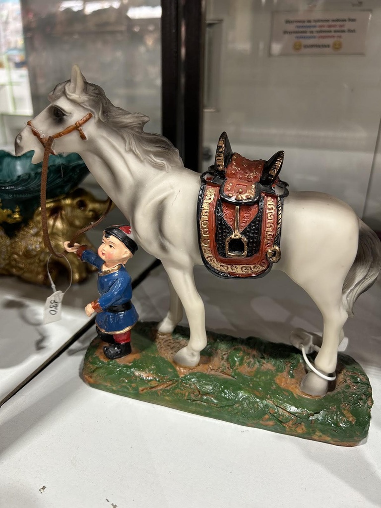 морь хөтөлсөн хүүхэд 2 өнгө ZS109