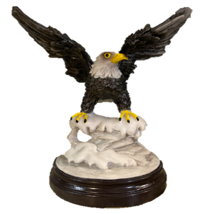 бүргэд д 6893