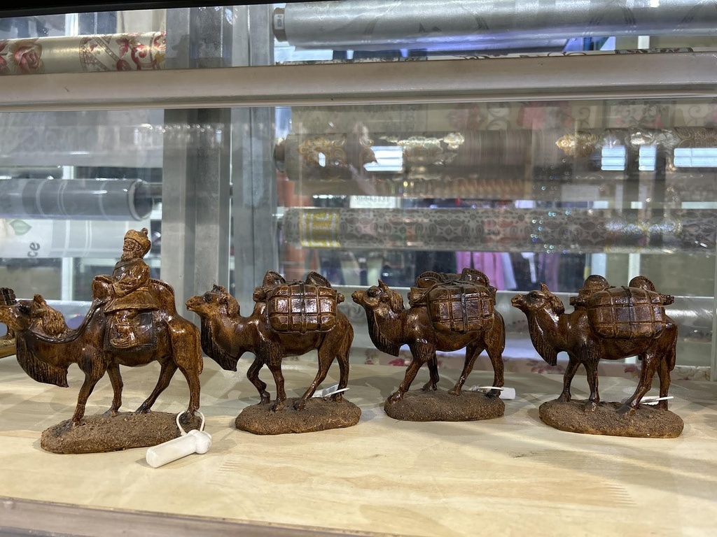 тэмээн жин нохойтой салангид