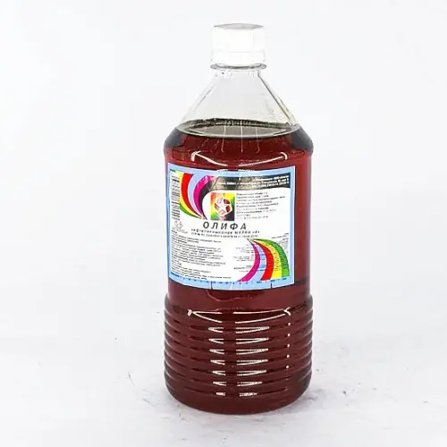 лак суурь олифа