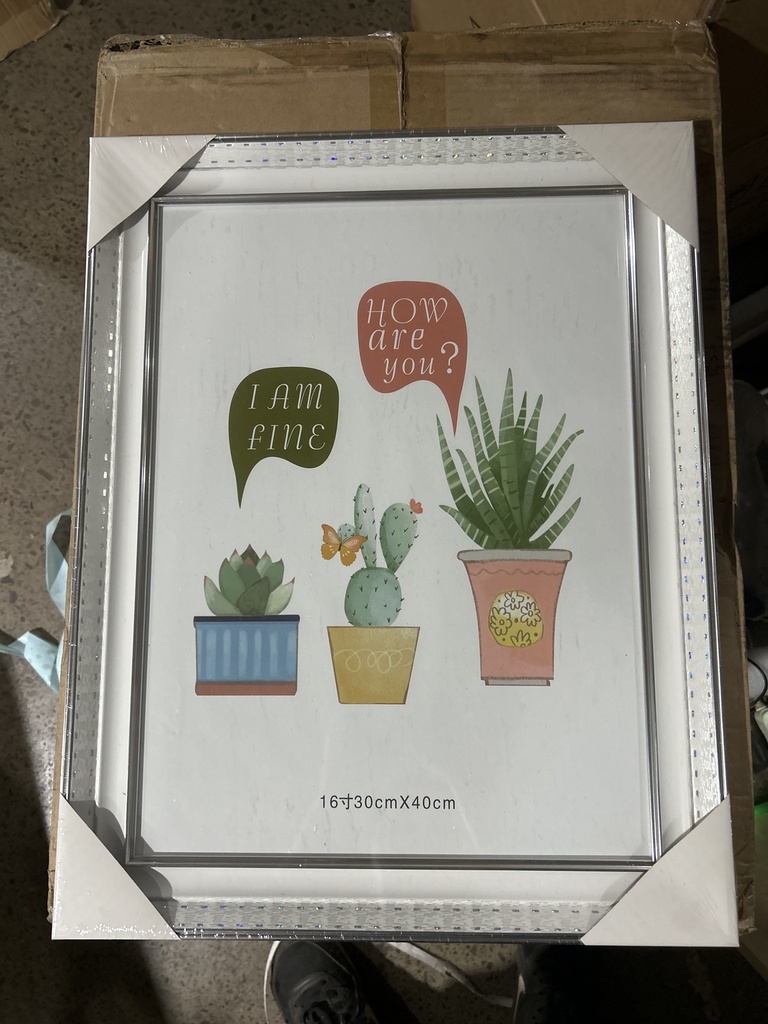 Өргөн хүрээтэй цагаан жааз 30*40см 056 №16