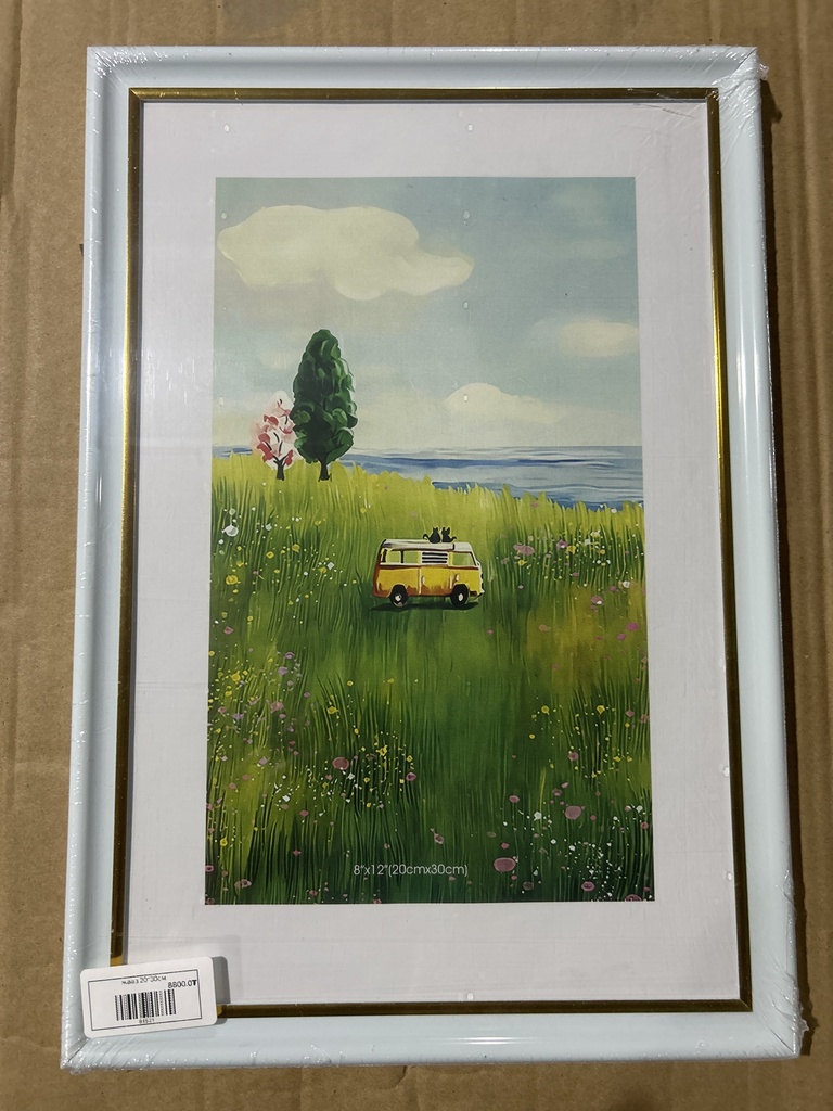 Нарийн цагаан  хүрээтэй жааз 20*30см  PB30-1 №12