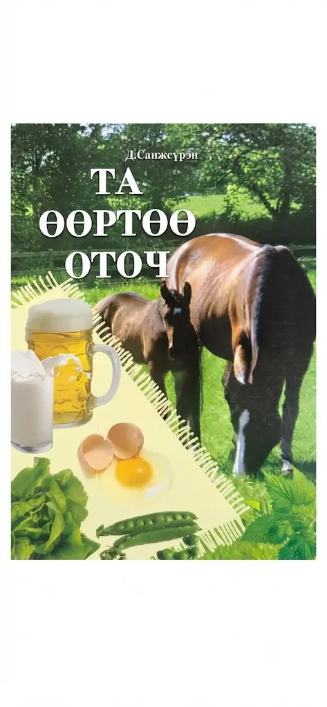 Та өөрөө зурхайч, оточ /ном/