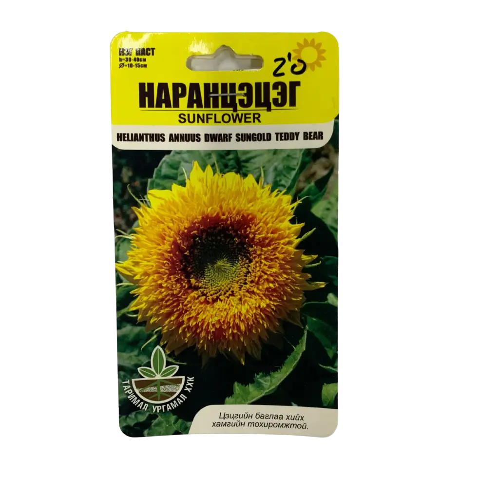 Наран цэцэг үр