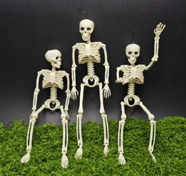 Halloween. араг яс