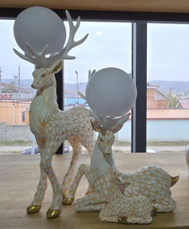 [80603] 6607 гэр бүл буга гэрэл асдаг