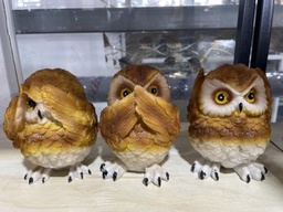 [80610] 010 шар шувуу харахгүй, үзэхгүй