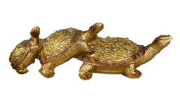 [81005] яст мэлхий цувраа Т 33334