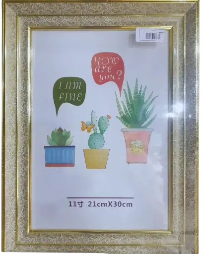 [81036] жааз 20*30 өргөн хүрээ