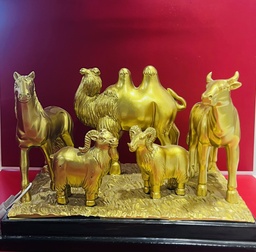 [81040] дөрвөлжин суурьтай 5 хошуу Д ZS145