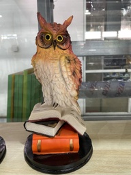 [81070] шар шувуу дунд 2886