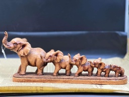 [81106] цувраа заан 5ш модон MS560