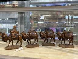 [81116] тэмээн жин нохойтой салангид