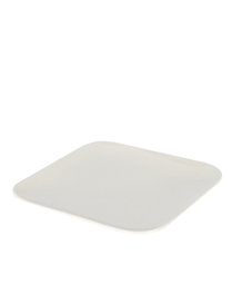 [90601] цагаан таваг том