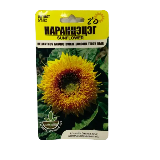 [8654001771418] Наран цэцэг үр